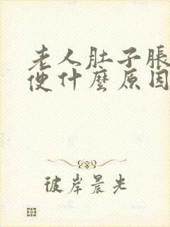 老人肚子胀不排便什么原因