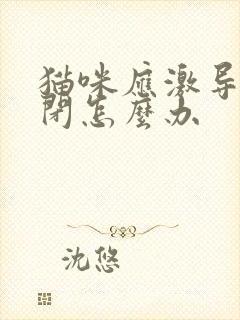 猫咪应激导致尿闭怎么办