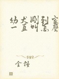 幼犬刚到家晚上一直叫怎么办