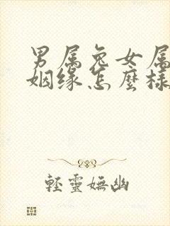 男属兔女属龙的姻缘怎么样