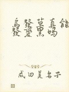 乌发草真能让白发变黑吗