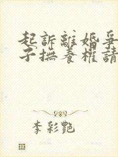 起诉离婚争取孩子抚养权请律师费用多少钱