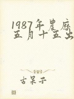 1987年农历五月十五出生的人命运女孩