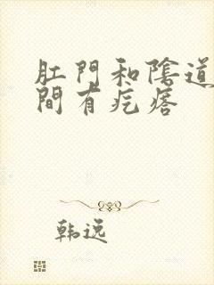 肛门和阴道口中间有疙瘩