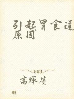 引起胃食道反流原因