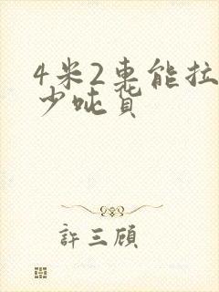 4米2车能拉多少吨货