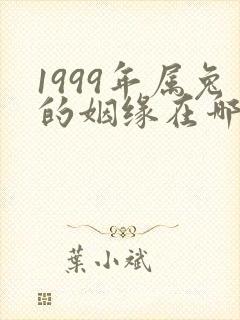 1999年属兔的姻缘在哪年最旺