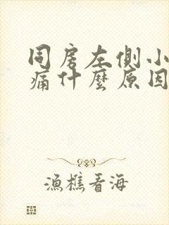 同房左侧小腹疼痛什么原因女性