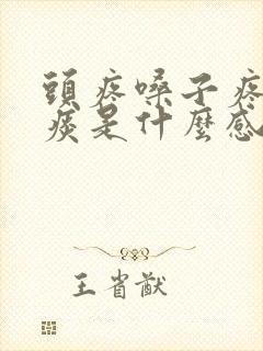 头疼嗓子疼有黄痰是什么感冒