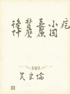 后背长小疙瘩是什么原因