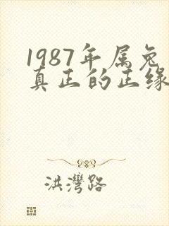1987年属兔真正的正缘在哪一年封面
