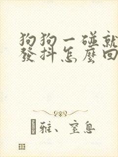 狗狗一碰就叫还发抖怎么回事封面