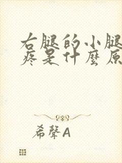 右腿的小腿外侧疼是什么原因