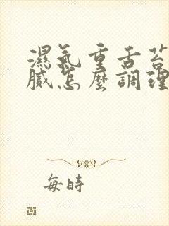 湿气重舌苔黄厚腻怎么调理