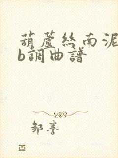 葫芦丝南泥湾降b调曲谱封面