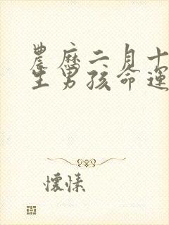 农历二月十五出生男孩命运如何