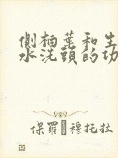 侧柏叶和生姜煮水洗头的功效