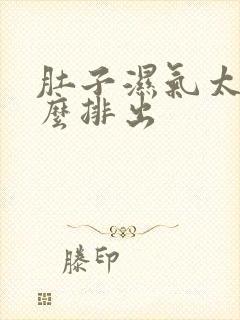 肚子湿气太重怎么排出