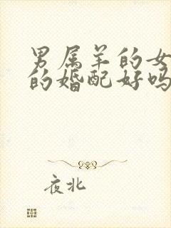 男属羊的女属兔的婚配好吗封面