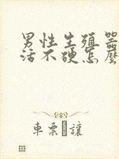 男性生殖器性生活不硬怎么办