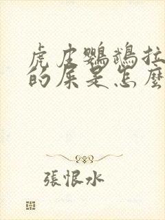 虎皮鹦鹉拉绿色的屎是怎么回事