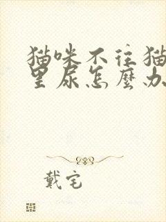 猫咪不往猫砂盆里尿怎么办?