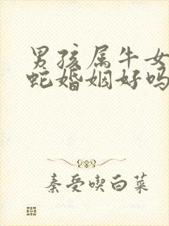 男孩属牛女孩属蛇婚姻好吗