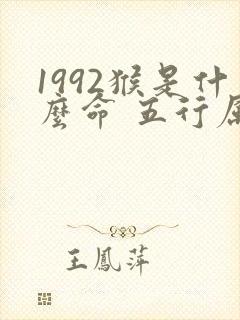 1992猴是什么命 五行属什么封面