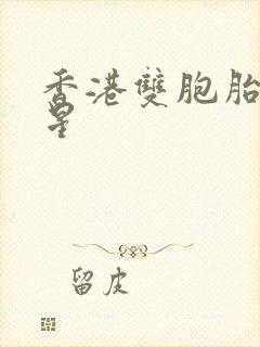 香港双胞胎女明星