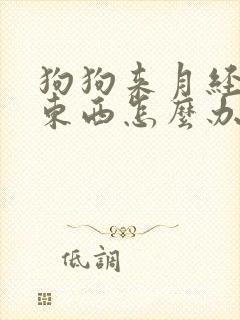 狗狗来月经不吃东西怎么办