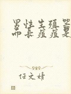 男性生殖器官上面长痘痘是什么原因