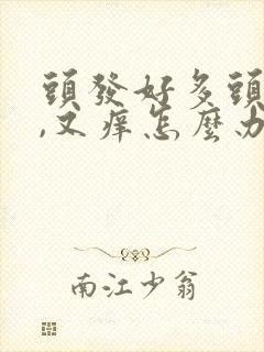 头发好多头皮屑,又痒怎么办