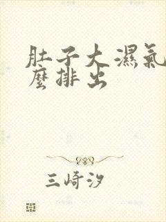 肚子大湿气重怎么排出封面