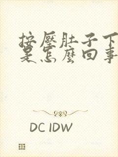 按压肚子下边疼是怎么回事