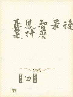 聂凤智最后结局是什么