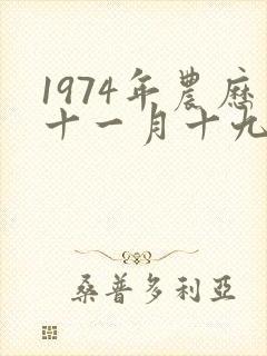 1974年农历十一月十九日出生命运?封面