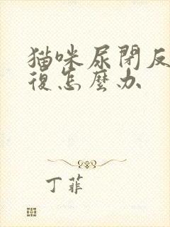 猫咪尿闭反反复复怎么办