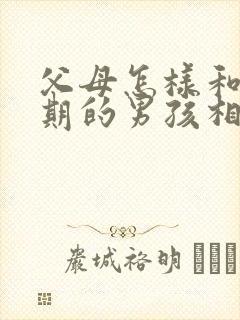 父母怎样和叛逆期的男孩相处封面