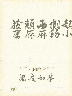 脸颊两侧起了密密麻麻的小疙瘩很痒封面