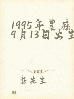 1995年农历9月13日出生男孩命运