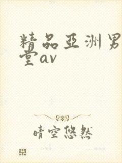 精品亚洲男人天堂av封面