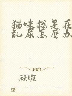 猫咪总是在床上乱尿怎么办