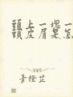 头上一块一块的头皮屑是怎么回事