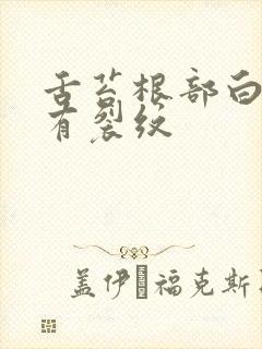 舌苔根部白腻厚有裂纹