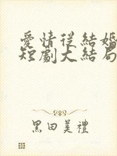 爱情从结婚开始短剧大结局