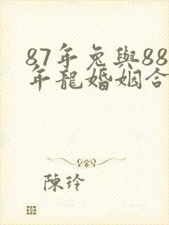 87年兔与88年龙婚姻合适吗封面