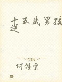 十五岁男孩子叛逆