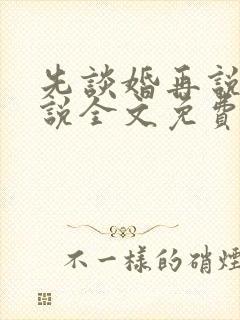 先谈婚再说爱小说全文免费阅读