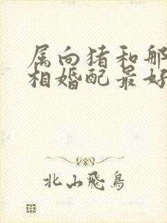 属向猪和那个属相婚配最好