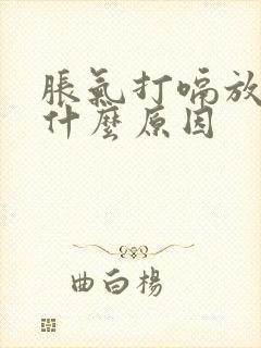 胀气打嗝放屁是什么原因封面